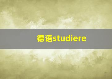 德语studiere