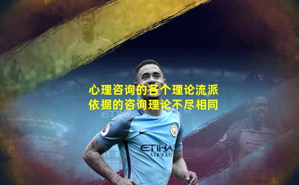 心理咨询的各个理论流派依据的咨询理论不尽相同