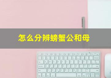 怎么分辨螃蟹公和母