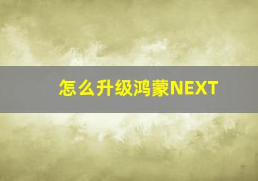 怎么升级鸿蒙NEXT