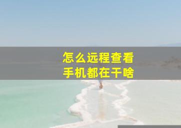 怎么远程查看手机都在干啥