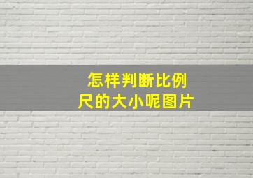 怎样判断比例尺的大小呢图片