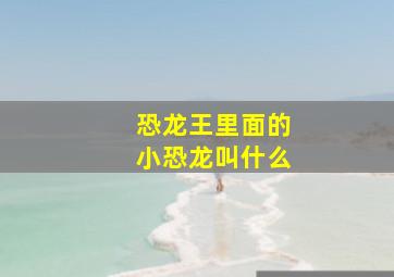 恐龙王里面的小恐龙叫什么