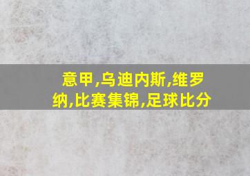 意甲,乌迪内斯,维罗纳,比赛集锦,足球比分