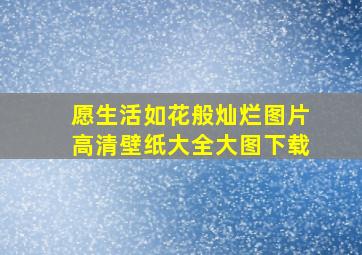 愿生活如花般灿烂图片高清壁纸大全大图下载