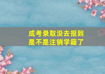 成考录取没去报到是不是注销学籍了