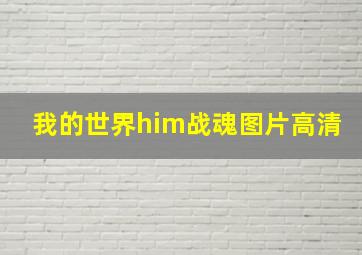 我的世界him战魂图片高清