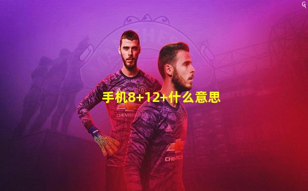 手机8+12+什么意思