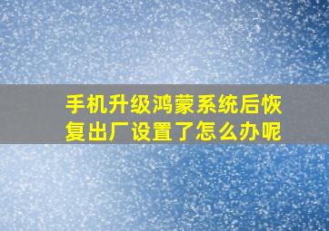 手机升级鸿蒙系统后恢复出厂设置了怎么办呢