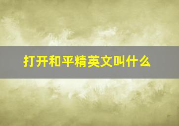 打开和平精英文叫什么