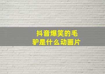 抖音爆笑的毛驴是什么动画片