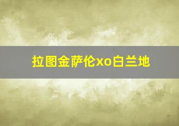 拉图金萨伦xo白兰地