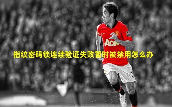 指纹密码锁连续验证失败暂时被禁用怎么办