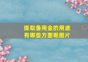 提取备用金的用途有哪些方面呢图片