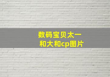 数码宝贝太一和大和cp图片