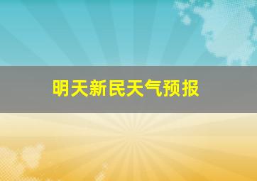 明天新民天气预报