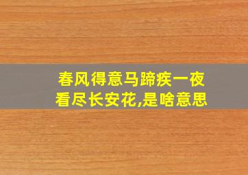 春风得意马蹄疾一夜看尽长安花,是啥意思