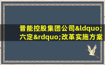 晋能控股集团公司“六定”改革实施方案