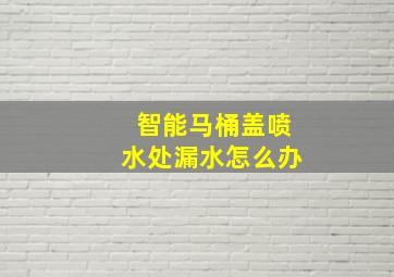 智能马桶盖喷水处漏水怎么办