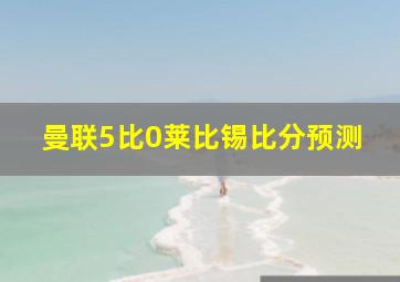 曼联5比0莱比锡比分预测