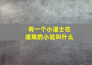 有一个小道士在道观的小说叫什么