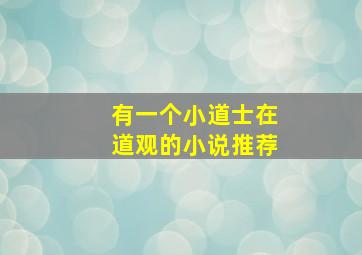 有一个小道士在道观的小说推荐