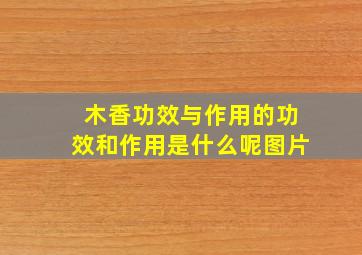 木香功效与作用的功效和作用是什么呢图片