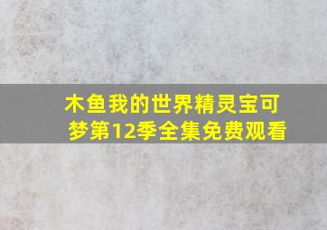 木鱼我的世界精灵宝可梦第12季全集免费观看