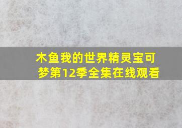 木鱼我的世界精灵宝可梦第12季全集在线观看