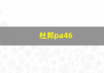 杜邦pa46