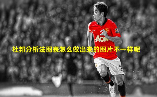 杜邦分析法图表怎么做出来的图片不一样呢