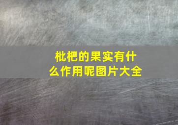 枇杷的果实有什么作用呢图片大全