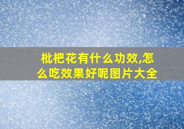 枇杷花有什么功效,怎么吃效果好呢图片大全