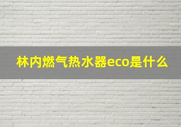 林内燃气热水器eco是什么