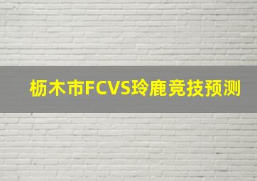 枥木市FCVS玲鹿竞技预测