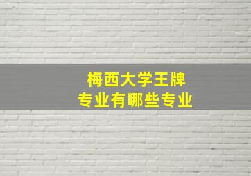 梅西大学王牌专业有哪些专业