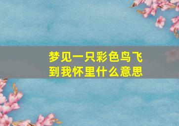 梦见一只彩色鸟飞到我怀里什么意思