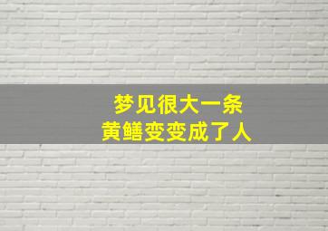 梦见很大一条黄鳝变变成了人