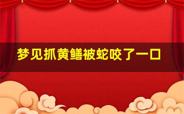 梦见抓黄鳝被蛇咬了一口