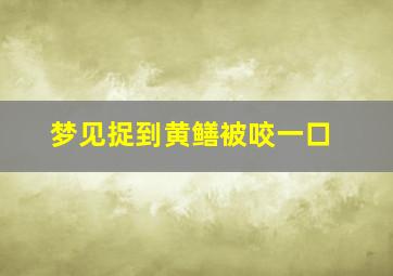 梦见捉到黄鳝被咬一口