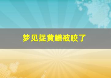 梦见捉黄鳝被咬了