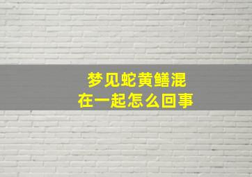 梦见蛇黄鳝混在一起怎么回事