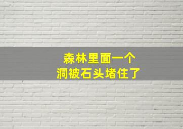 森林里面一个洞被石头堵住了