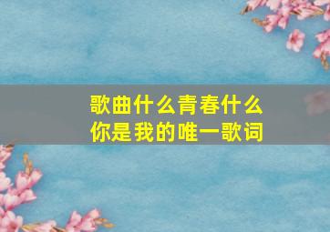 歌曲什么青春什么你是我的唯一歌词