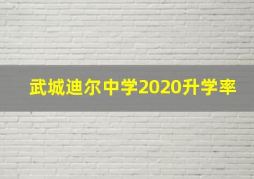 武城迪尔中学2020升学率