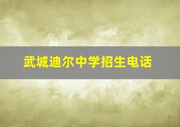 武城迪尔中学招生电话