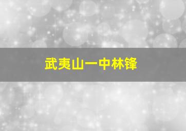 武夷山一中林锋