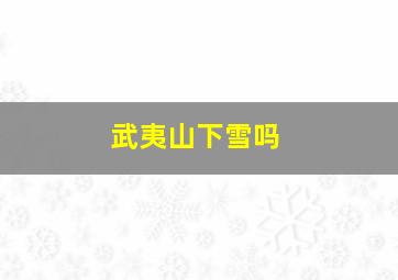 武夷山下雪吗