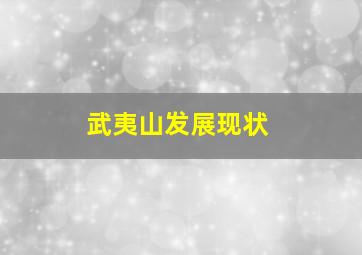 武夷山发展现状