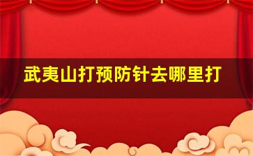 武夷山打预防针去哪里打